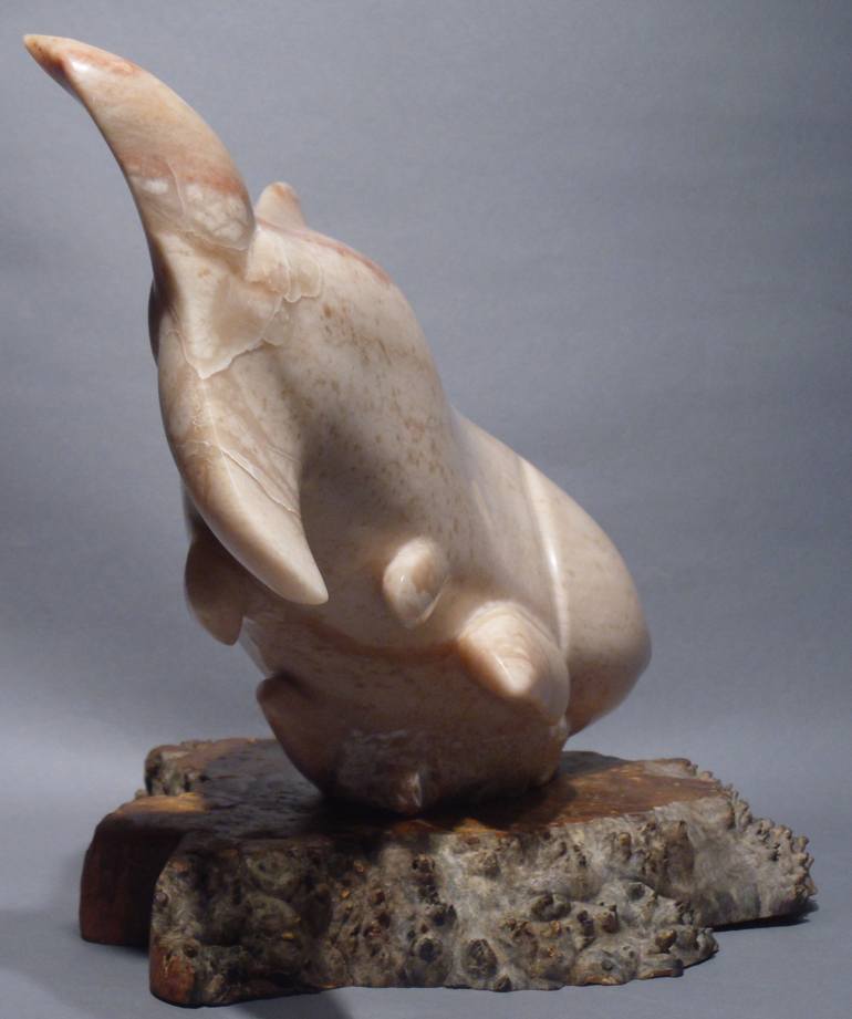 Original Figurative Fish Sculpture by Kim Mosley