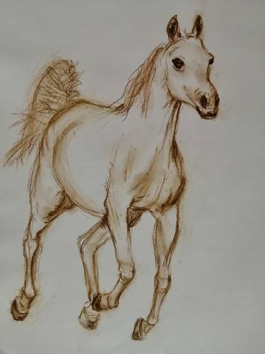 Print of Horse Drawings by Ivana Vidić