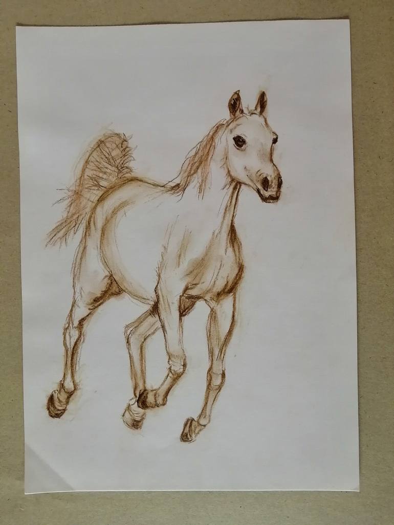 Original Fine Art Horse Drawing by Ivana Vidić