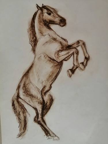 Original Figurative Horse Drawings by Ivana Vidić