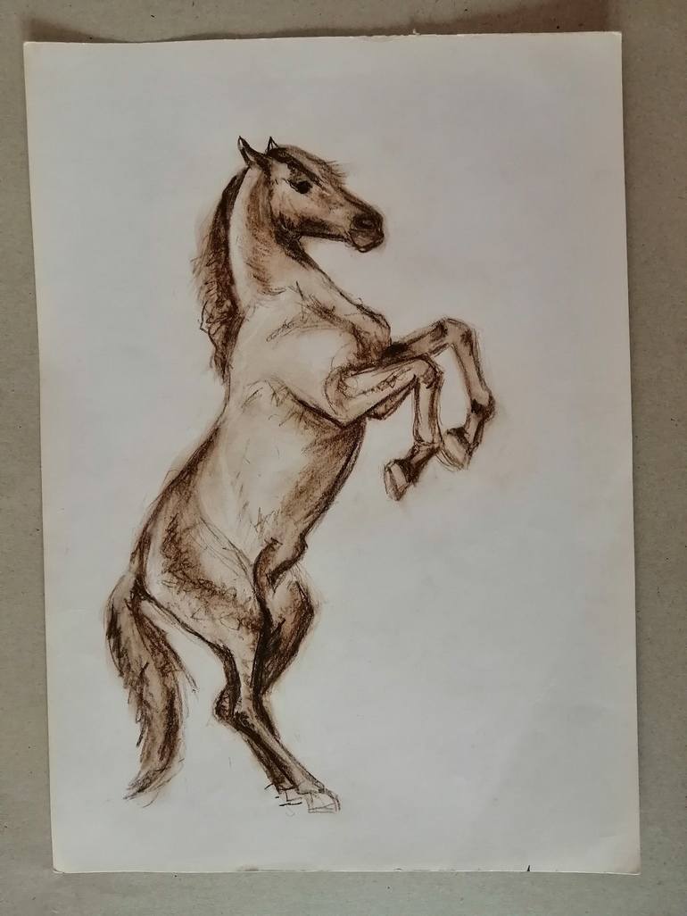 Original Figurative Horse Drawing by Ivana Vidić