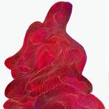 Collection Biomorphism