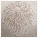 Salon Wall Collection: Desert Neutrals