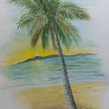 Palm cove by Jacob Lucas