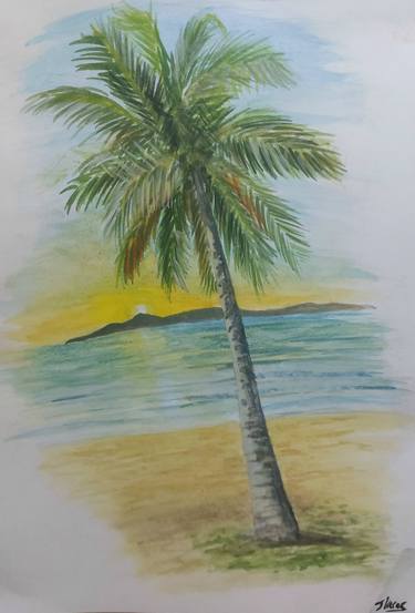 Palm cove thumb