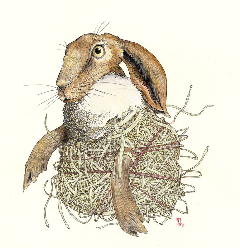 Rabbit eyes Drawing by Arjan Winkelaar