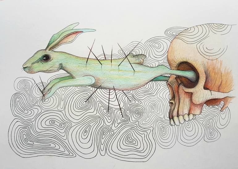 Rabbit eyes Drawing by Arjan Winkelaar
