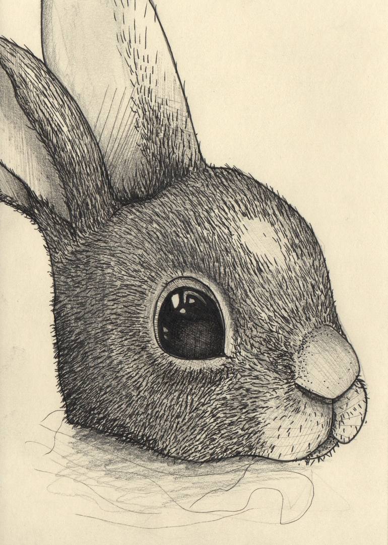 Bunny Eyes Poster