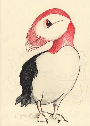Original Animal Drawings by Arjan Winkelaar