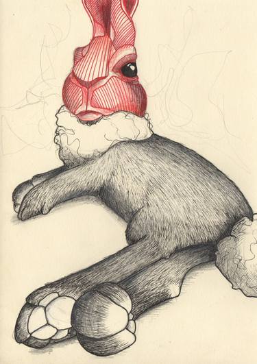 Print of Illustration Animal Drawings by Arjan Winkelaar