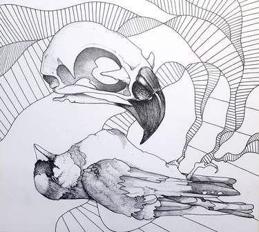 Print of Animal Drawings by Arjan Winkelaar