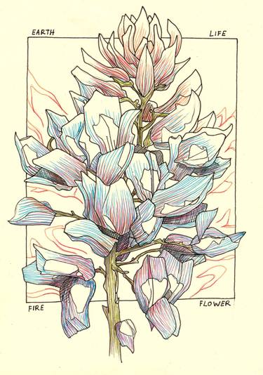 Original Floral Drawings by Arjan Winkelaar