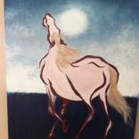 Collection Equus