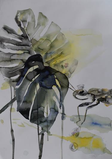 Original Conceptual Nature Drawings by Sabina Sinko