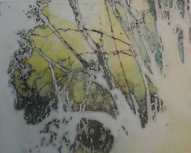 Original Abstract Expressionism Nature Printmaking by Jan Drury