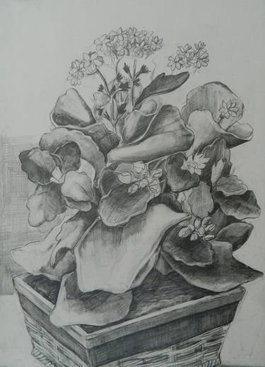 Original Floral Drawings by dicle kaymaz
