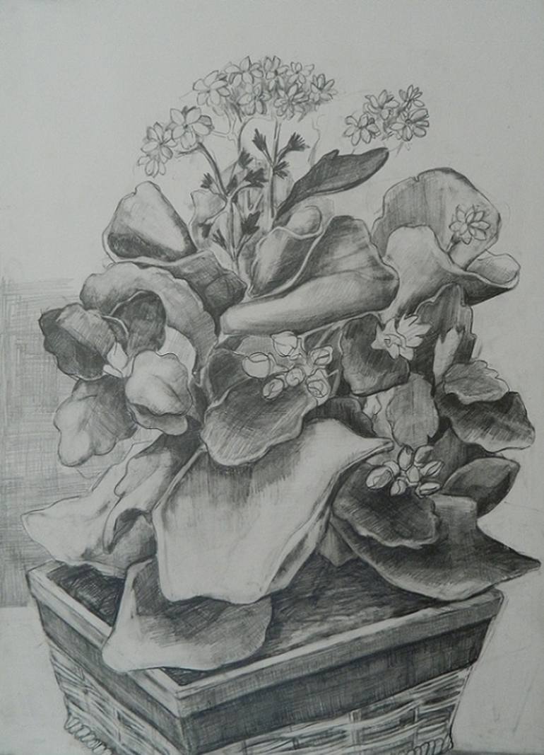 Ornamental Flower Drawing by dicle kaymaz | Saatchi Art