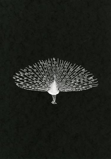 Saatchi Art Artist Harrison Moore; Printmaking, “Peacock - Limited Edition 1 of 1” #art
