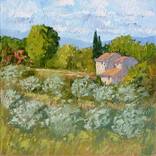 Landscape with olive trees by Radu Focsa