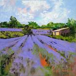 Lavender field by Radu Focsa
