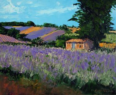 Shelter and lavender fields thumb