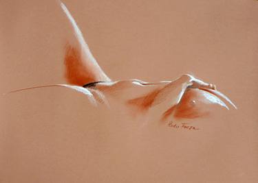 Print of Figurative Nude Drawings by Radu Focsa