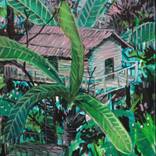 Palmhouse by Peter de Boer