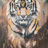 TIGER by Rene Surda