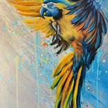 PARROT ARA by Rene Surda