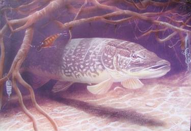 Original Realism Fish Paintings by Rene Surda