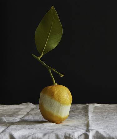 Original Still Life Photography by Kathleen Finlay