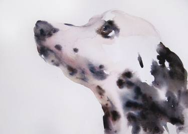 Dog Dalmatian thumb