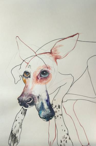 Original Expressionism Dogs Drawings by Olga Gál