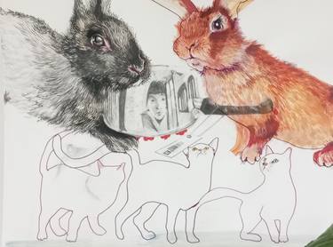 Original Animal Drawings by Olga Gál
