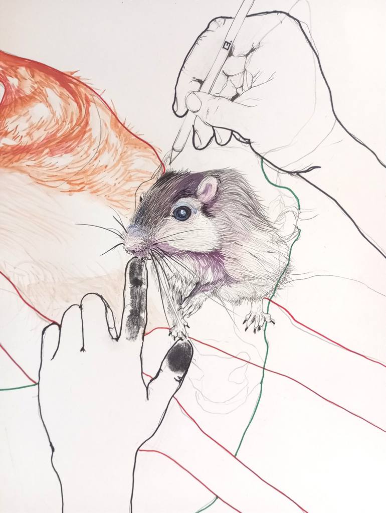 Original Expressionism Animal Drawing by Olga Gál