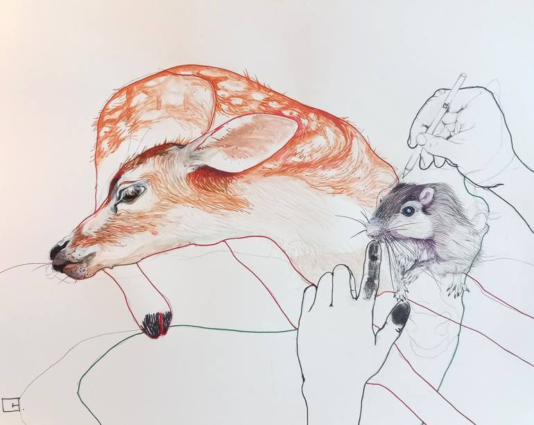 Original Expressionism Animal Drawing by Olga Gál
