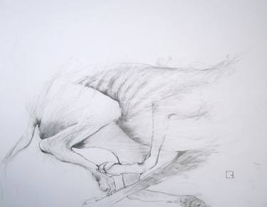 Original Expressionism Animal Drawings by Olga Gál