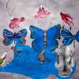 Collection olga gal