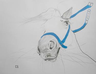 Original Figurative Horse Drawings by Olga Gál