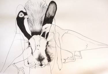 Original Animal Drawings by Olga Gál