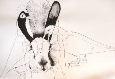 Original Expressionism Animal Drawings by Olga Gál