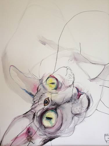 Original Cats Drawings by Olga Gál