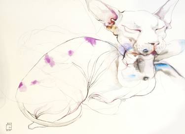 Original Expressionism Animal Drawings by Olga Gál