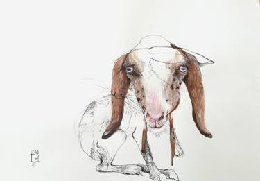 Original Modern Animal Drawings by Olga Gál
