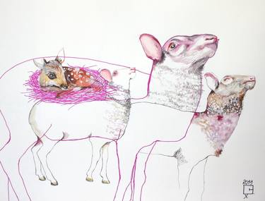 Original Expressionism Animal Drawings by Olga Gál