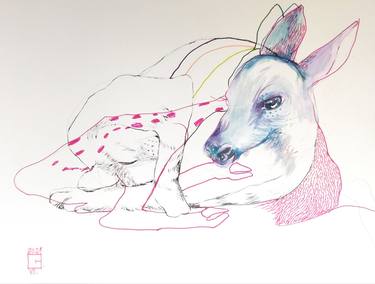 Original Conceptual Animal Drawings by Olga Gál