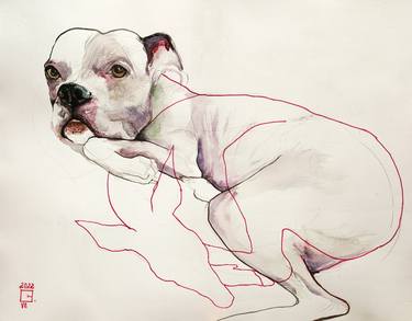 Original Dogs Drawings by Olga Gál