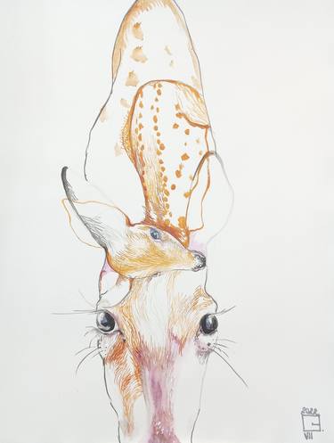 Original Expressionism Animal Drawings by Olga Gál