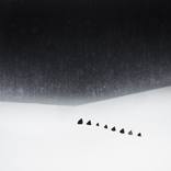 Collection Inspired by Zen