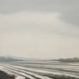 Frosted fields by Dawn Reader